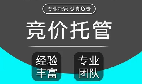 竞价帐户托管：企业高效投放广告的秘密武器与费用构成详解